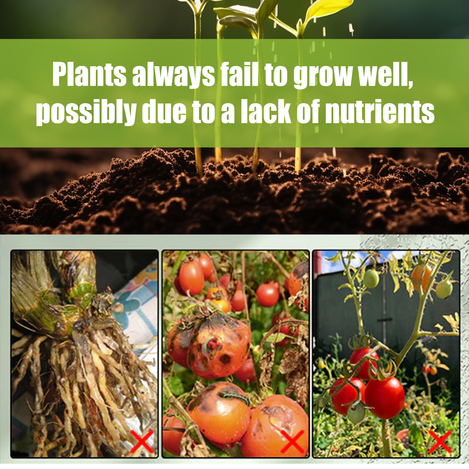 MoonSpry Plants Activity Stick, Plant Bud Pot Special Fertilizer Hair Root Growth Nutrition Care