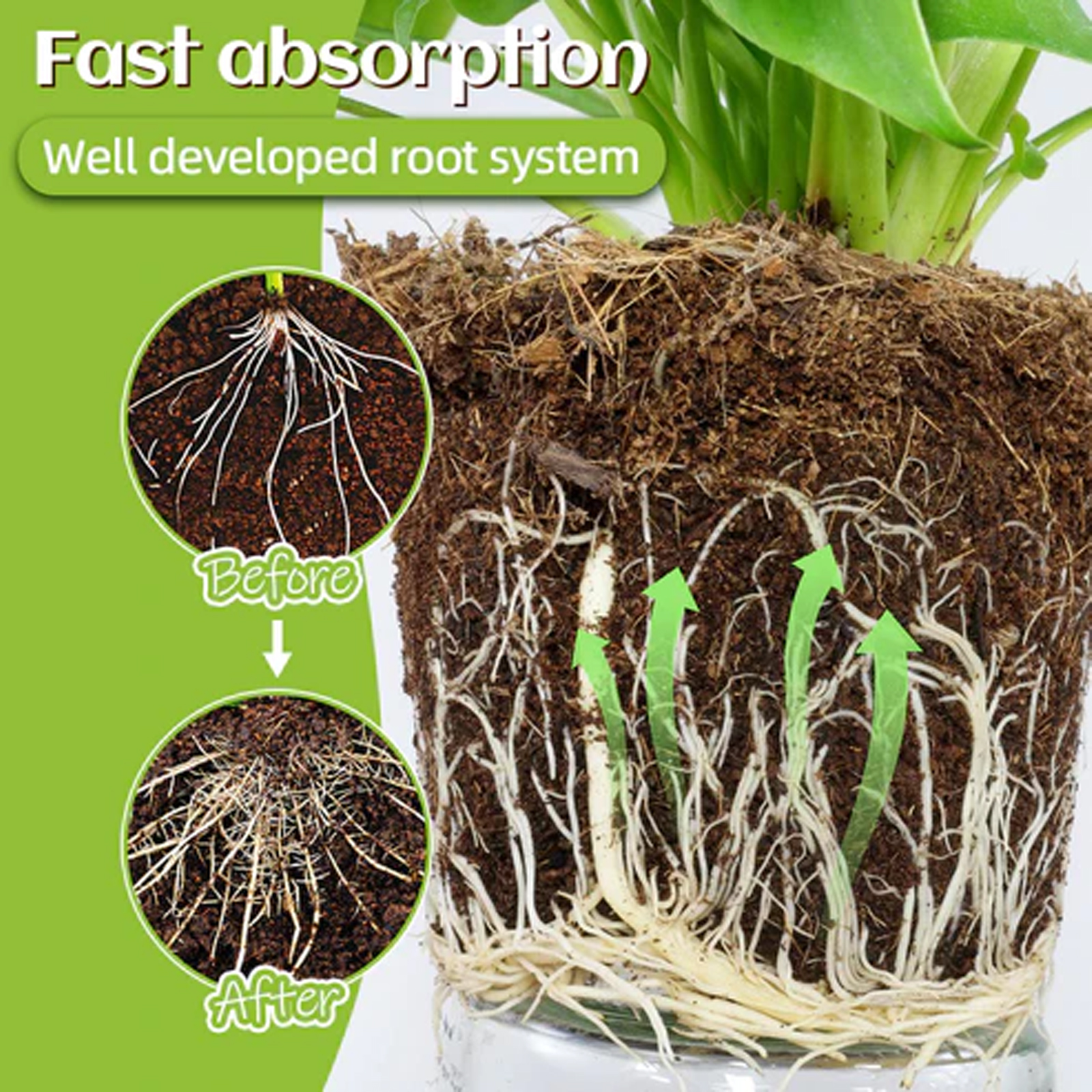 MoonSpry Plants Activity Stick, Plant Bud Pot Special Fertilizer Hair Root Growth Nutrition Care
